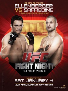 UFC Fight Night 34