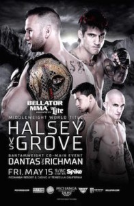 Bellator 137 Poster