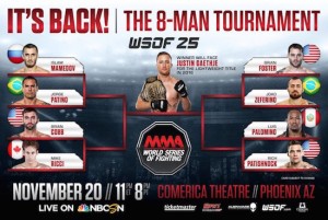 WSOF 25 Bracket