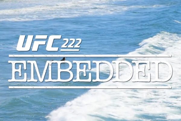 UFC 222