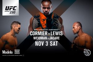 UFC 230